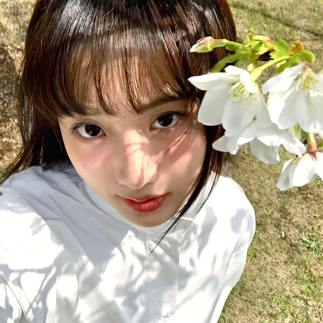 下一站彩虹粤语